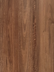 D5004 - QLD Spotted Gum
