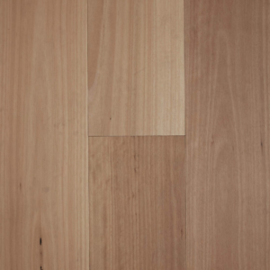 Fiddleback Blackbutt