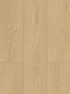 WF801 - Fortune Cookie