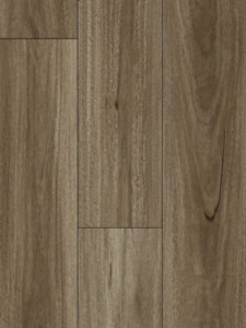WF808 - Spotted Gum