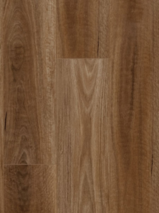 A115 - Spotted Gum