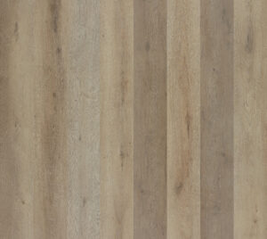 1710 - Lake View Oak