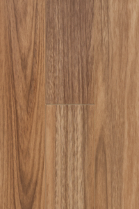 1131 - Queensland Spotted Gum