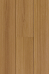 1132 - New England Blackbutt