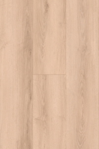 L1501 - Harmony Oak