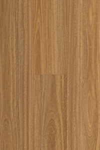 L1507 - Spotted Gum