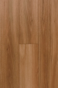 3307 - Coastal Blackbutt