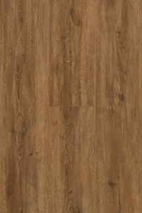 3311 - NSW Spotted Gum