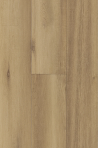 7704 - Sandcastle Oak