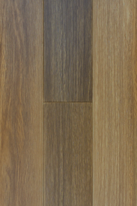 9927 - Queensland Spotted Gum