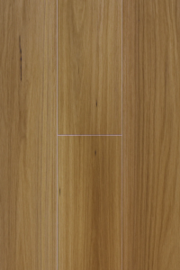 9928 - New England Blackbutt